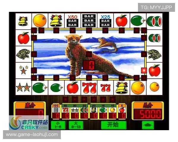 创新玩法的单机老虎机游戏应用大全，带来新鲜刺激的游戏体验